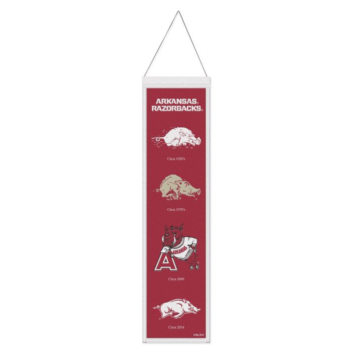 ARKANSAS EVO. BANNER