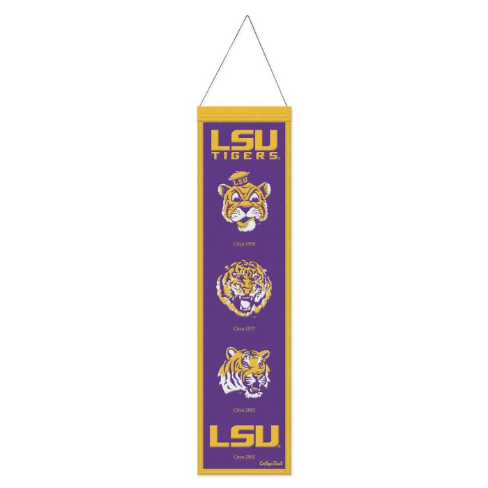 LSU EVOLUTION BANNER