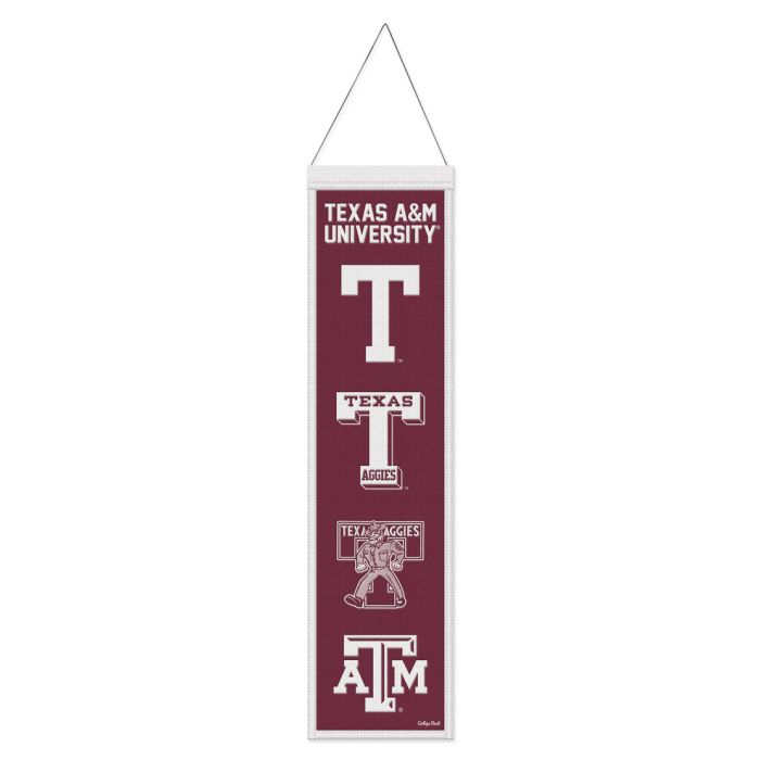 TEXAS A&M EVO. BANNER
