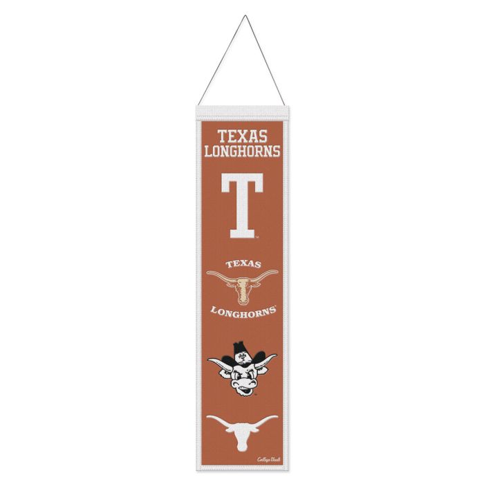 TEXAS EVOLUTION BANNER