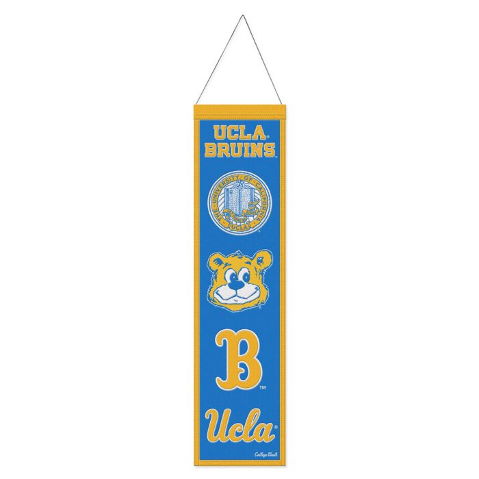 UCLA EVO. BANNER
