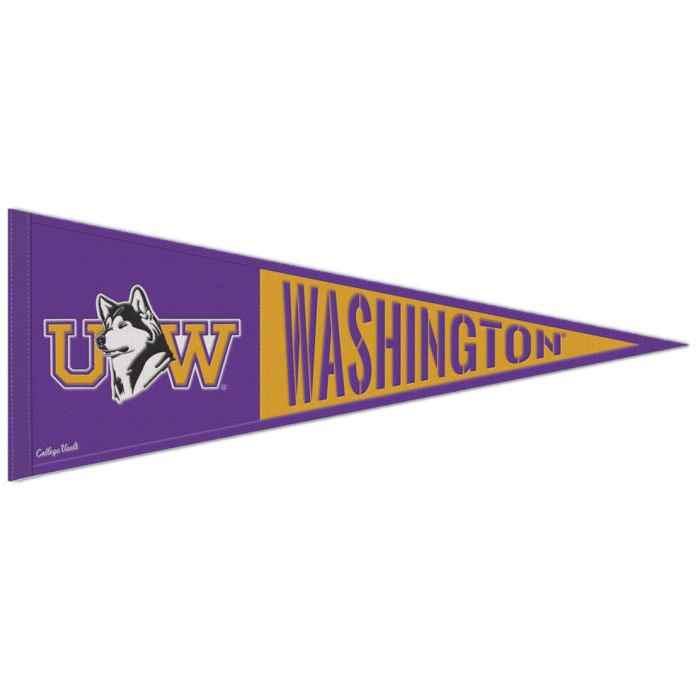 WASHINGTON RETRO LOGO PENNANT