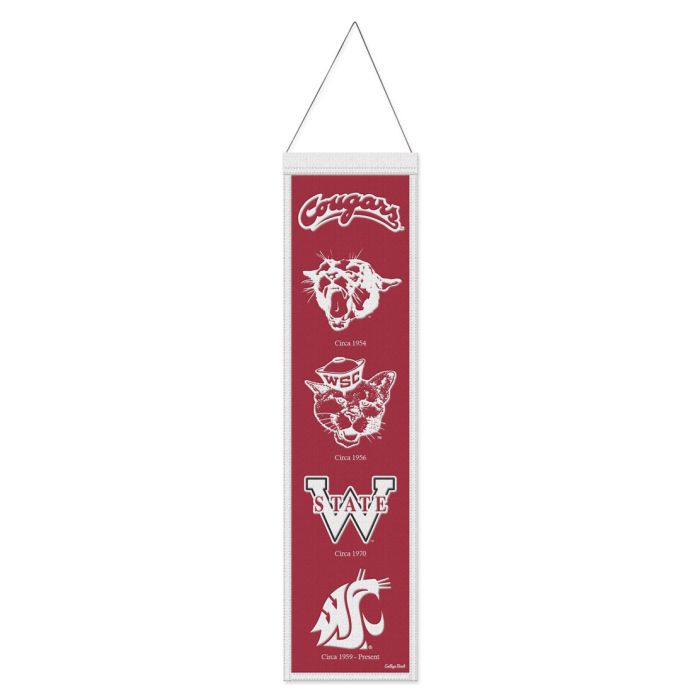 WASHINGTON STATE LOGO BANNER