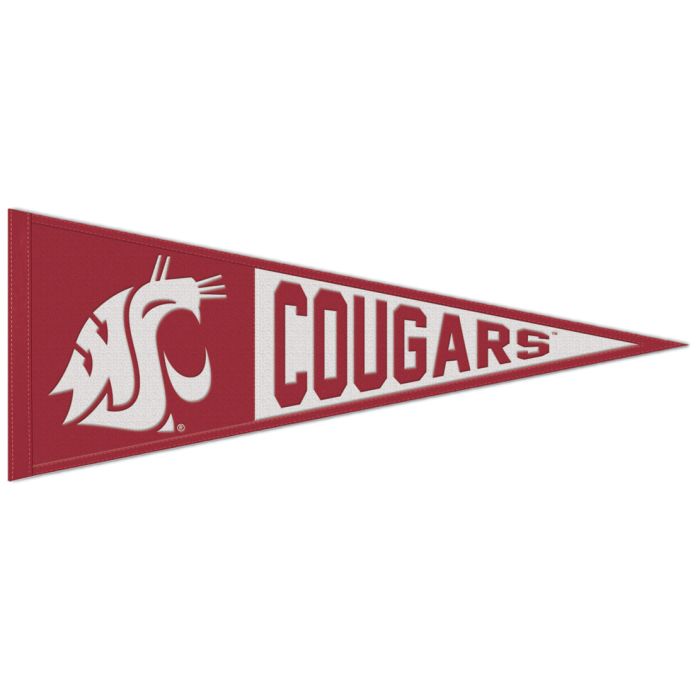 WASHINGTON STATE LOGO PENNANT