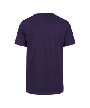 TCU HORNED FROGS NAME,LOGO,EST TEE - PURPLE