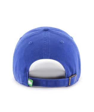 HARTFORD WHALERS 'WHALE' LOGO - ROYAL