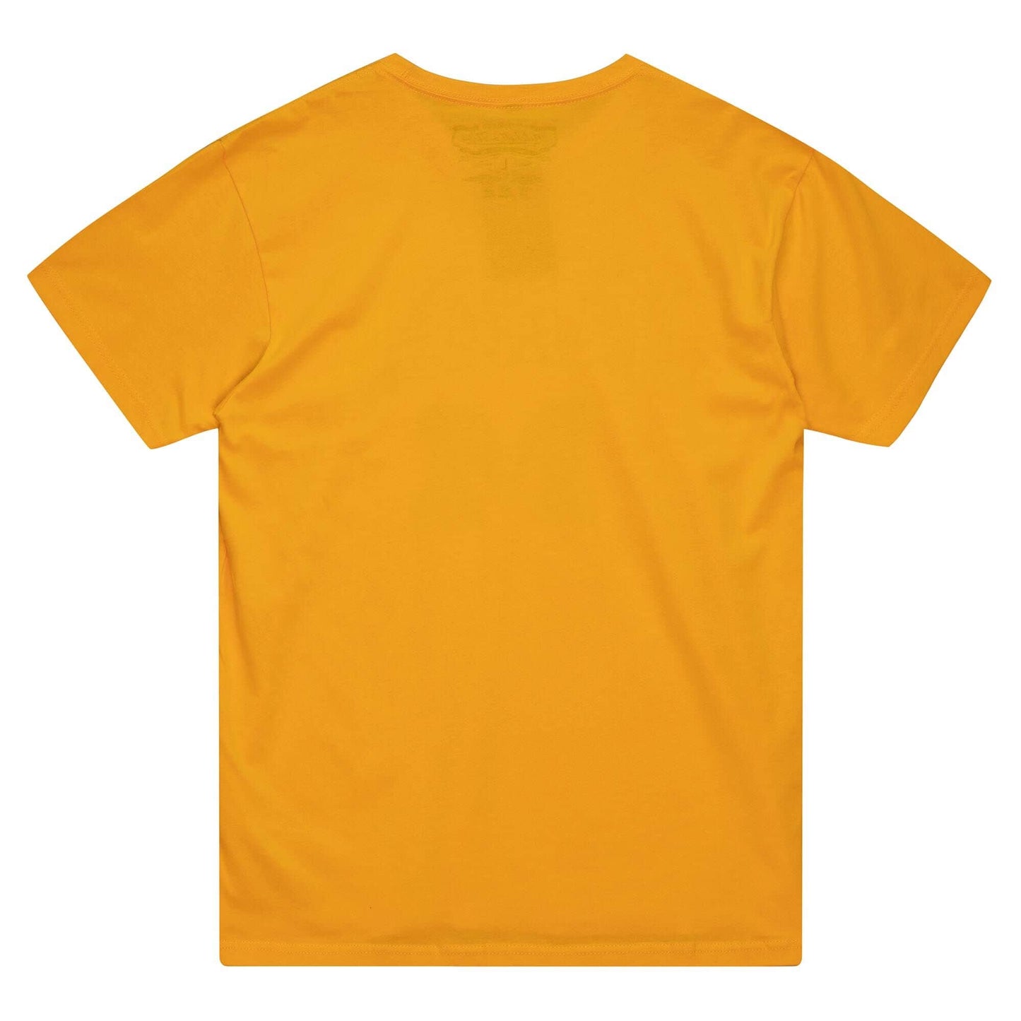 MICHIGAN WOLVERINES NAME&LOGO TEE - GOLD