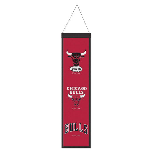 BULLS EVO. BANNER