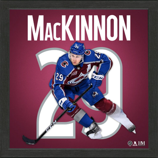 AVALANCHE MACKINNON JERSEY FRAME