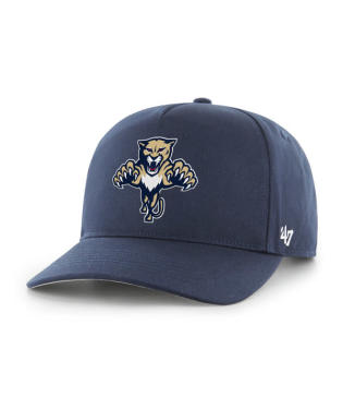 FLORIDA PANTHERS RETRO LOGO HAT-NVY