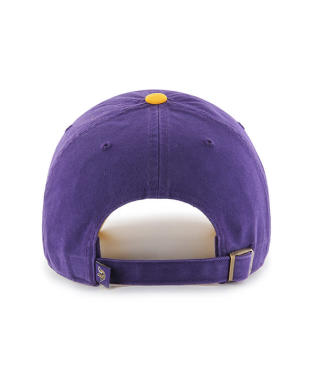 MINNESOTA VIKINGS LOGO HAT - 2-TONE