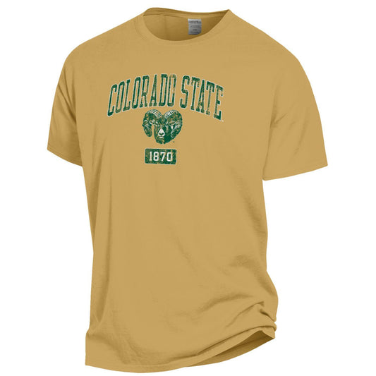 CSU NAME,LOGO,EST SS-GOLD